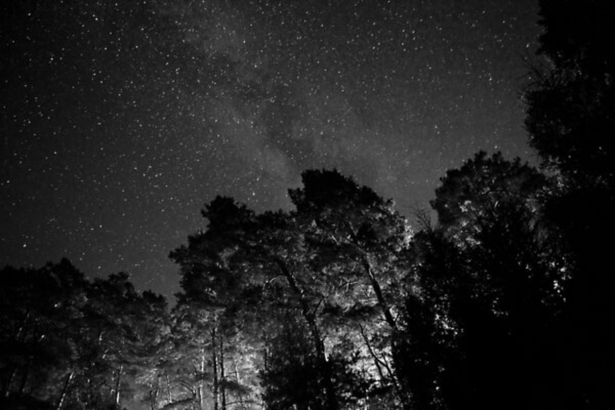 tienda fotografia nocturna bosque estrellas